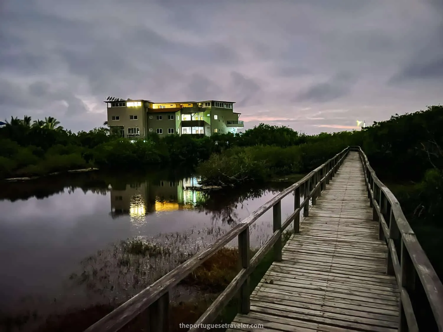 Flamingo lagoon in Puerto Villamil, Isabela, Galápagos