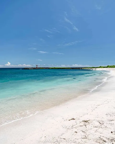 Punta Carola Beach in San Cristobal, Galapagos: All the Info