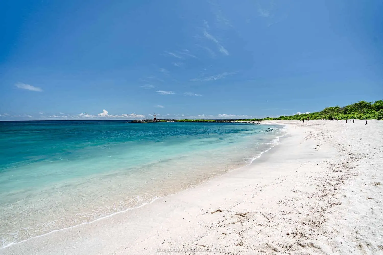 Galapagos coastline
