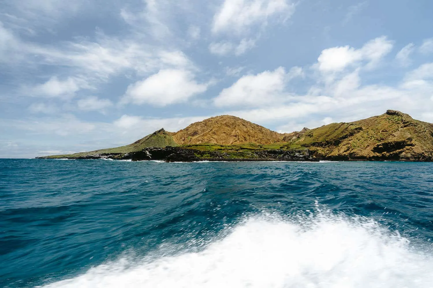 Punta Pitt dive site in San Cristobal, Galápagos