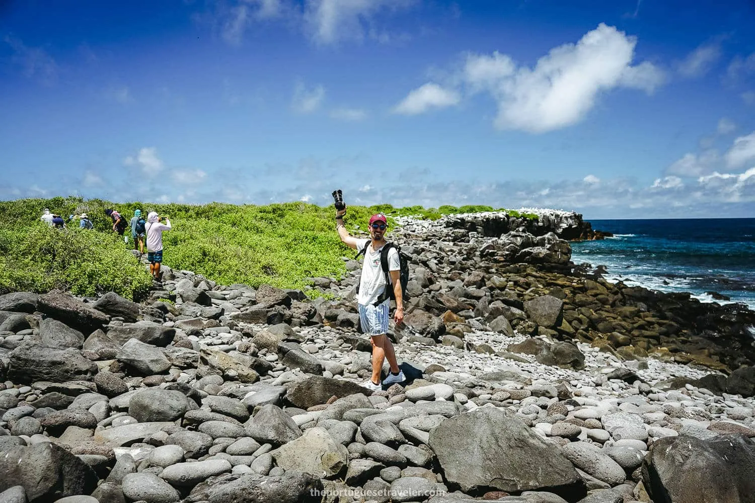 The Cliffs of Punta Suarez