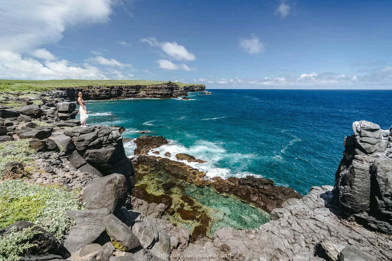 Punta Suarez natural pools packed with iguanas