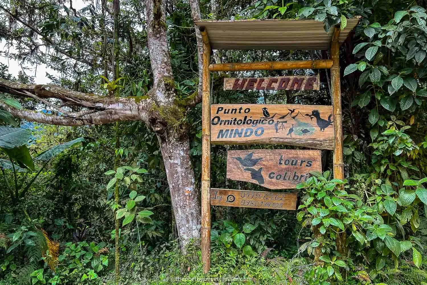 Punto Ornitológico de Mindo's Entrance
