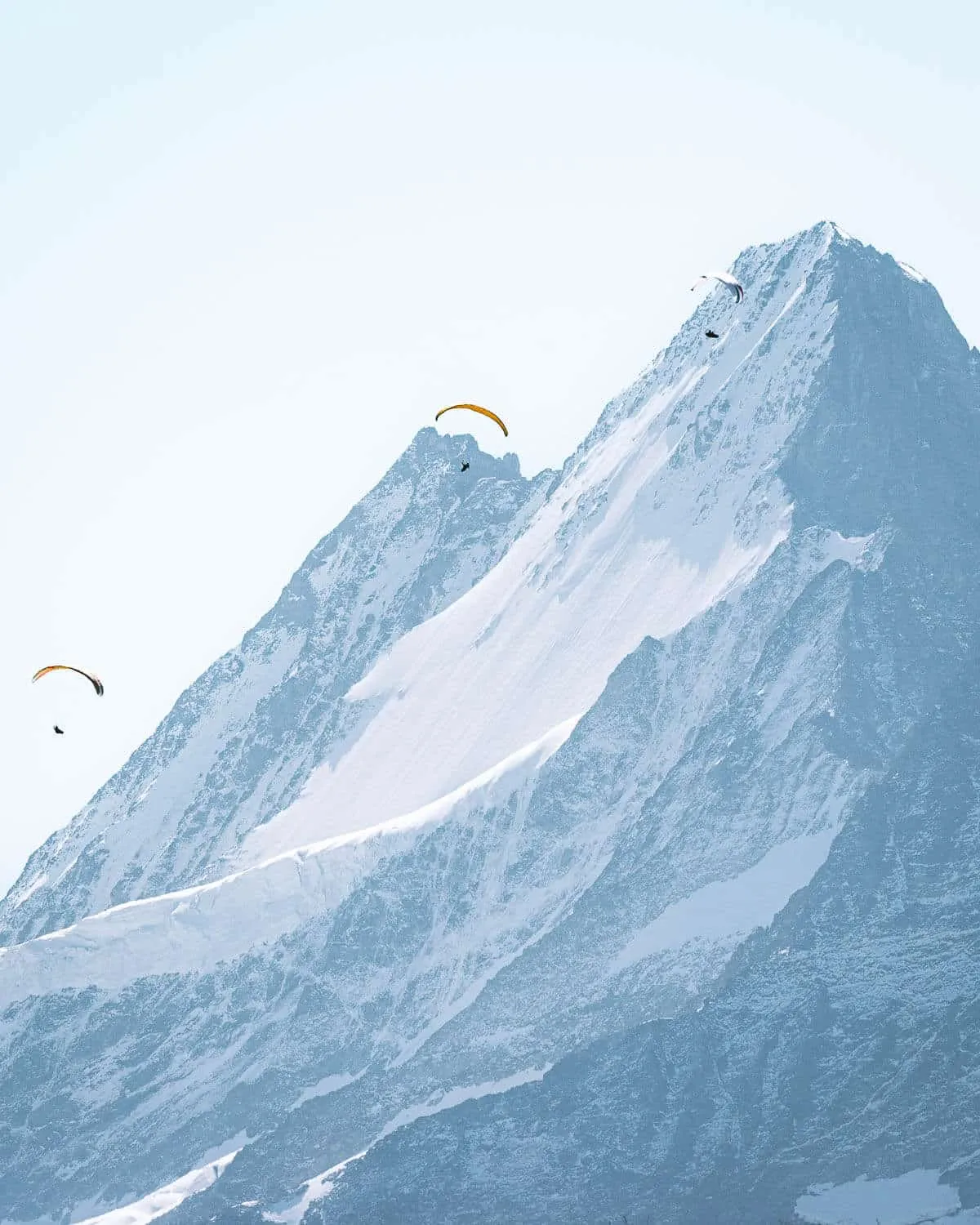 Paragliders and the Schreckhorn
