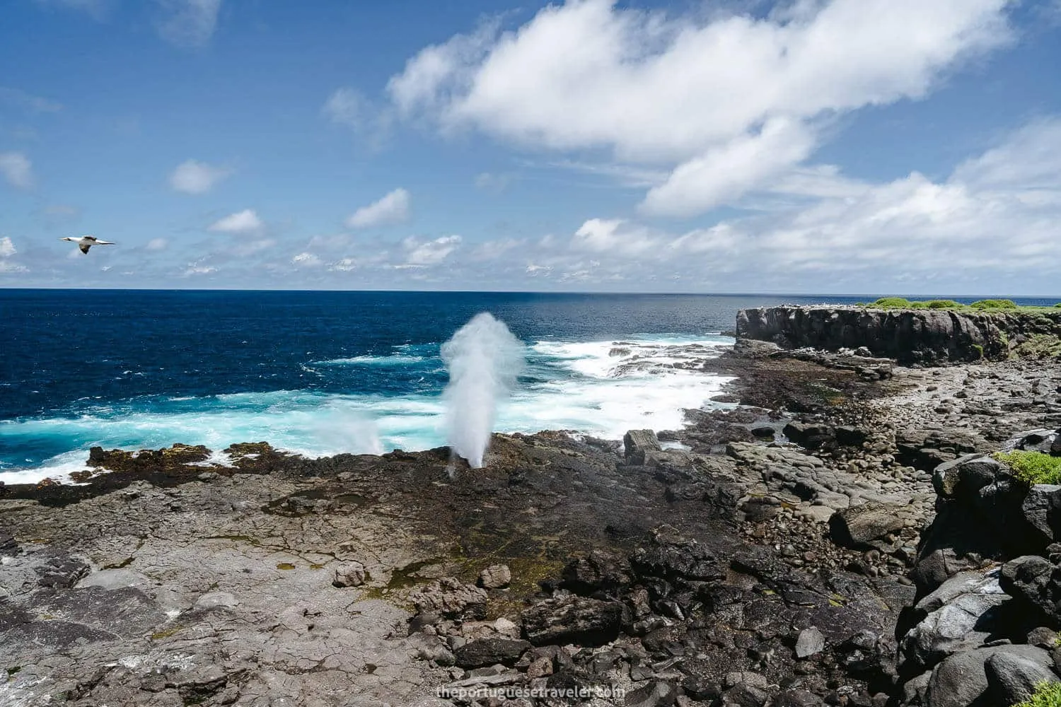 The famous Blowhole of Espanola Island