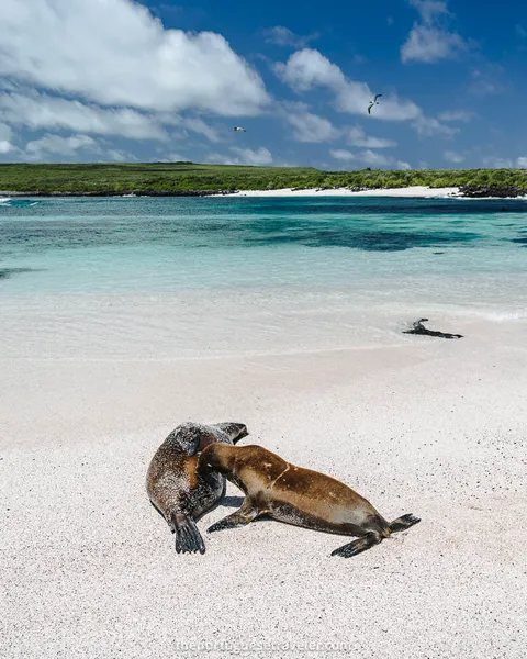 Espanola Island Tour: Full-Day Tour (From San Cristobal Island)