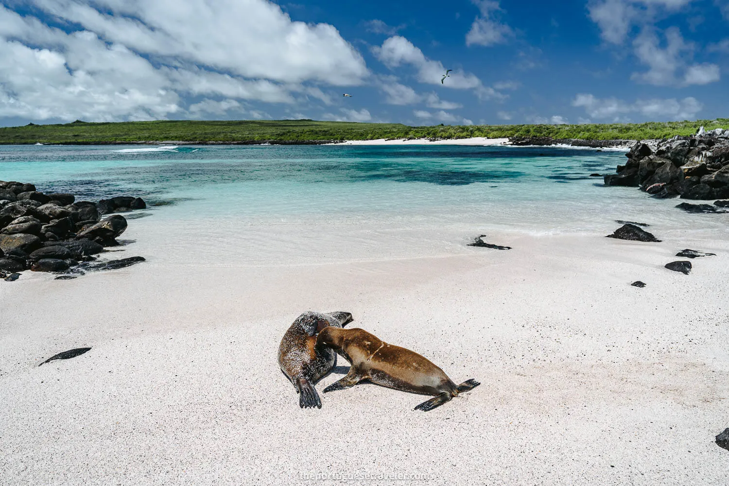 Espanola Island Tour: Full-Day Tour (From San Cristobal Island)