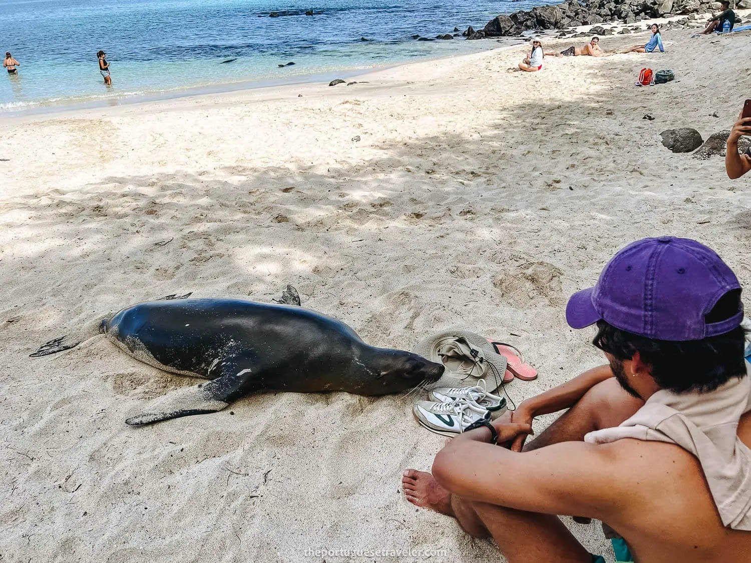 The pup smelling some shoes - Responsible Tourism in Galapagos -
