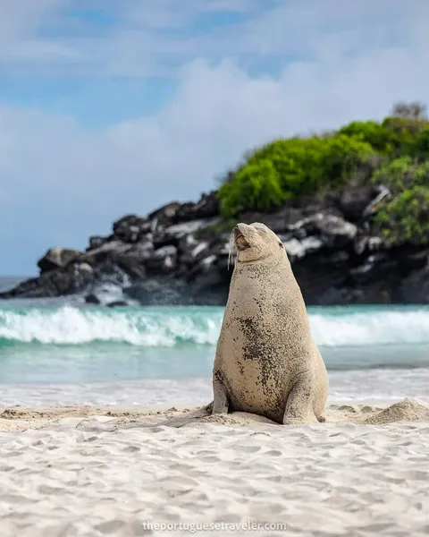 Highlands Tour in San Cristobal, Galapagos: Half-Day Tour