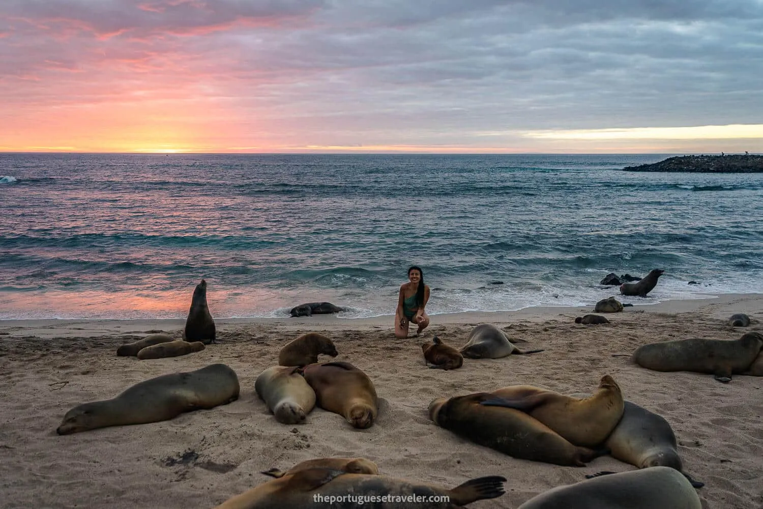 Sea lions at sunset in Punta Carola beach