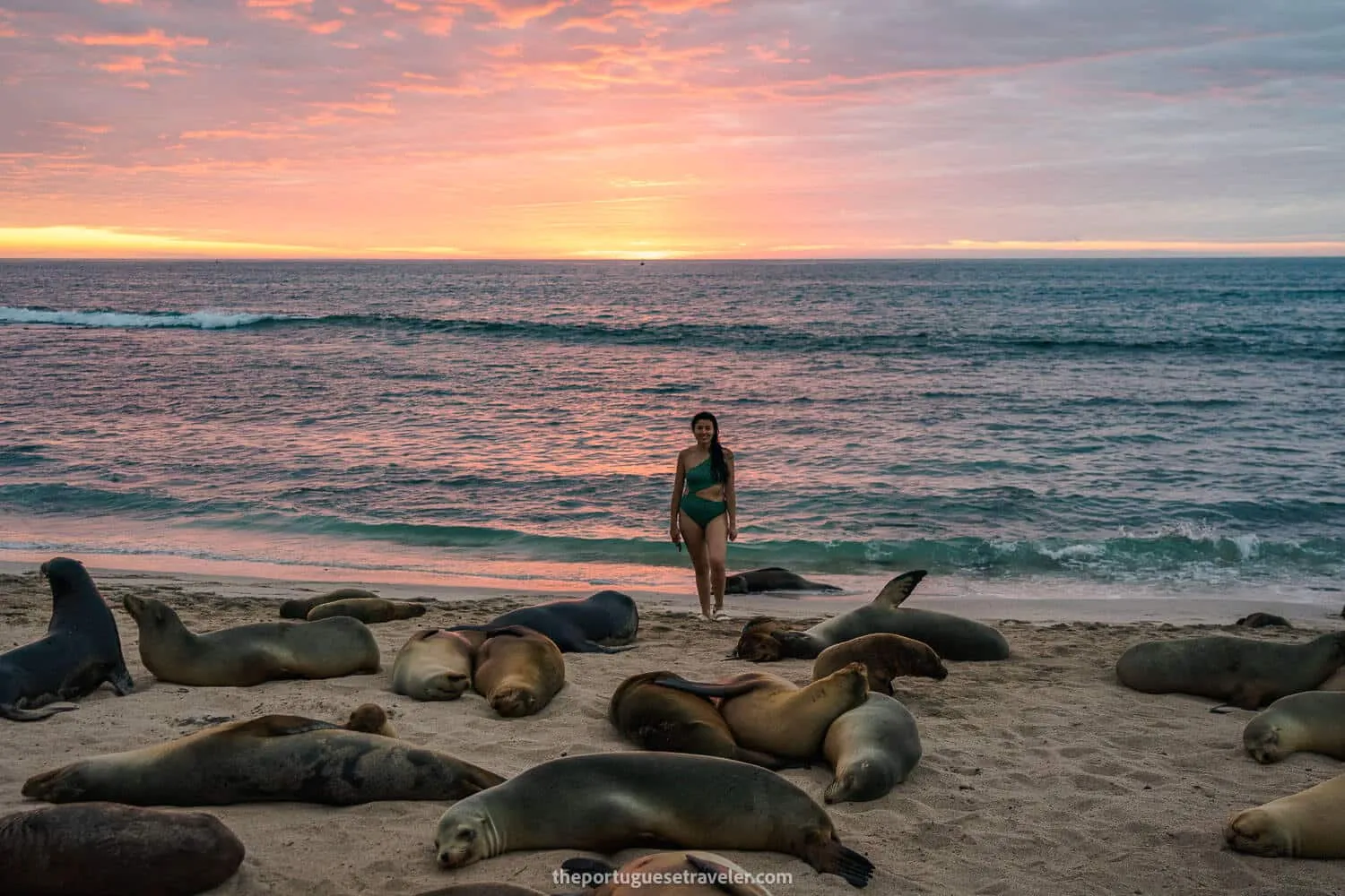 Jhos and the sea lions at sunset