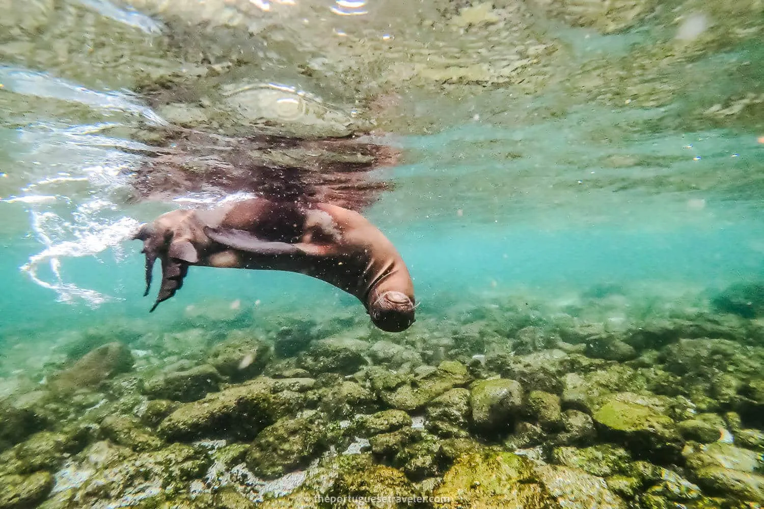 11 Best Snorkeling Spots in San Cristobal: Snorkel Guide (2026)