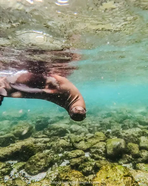 11 Best Snorkeling Spots in San Cristobal: Snorkel Guide (2026)