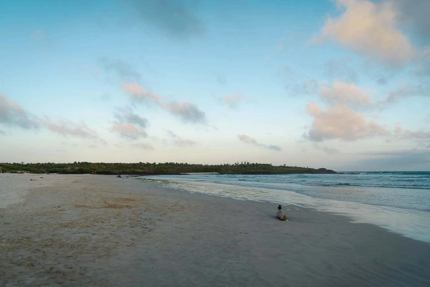 Tortuga Bay after the sunset