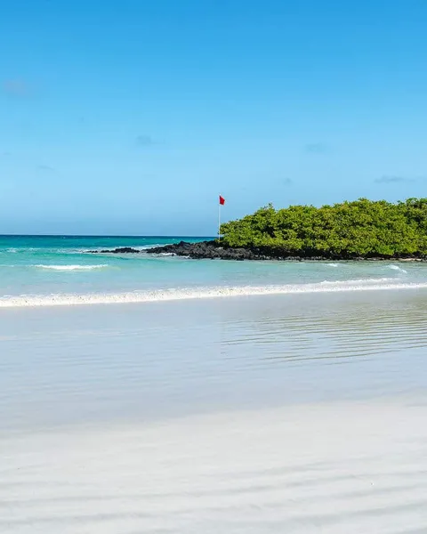 5 Best Beaches in Santa Cruz, Galapagos: Where to Go