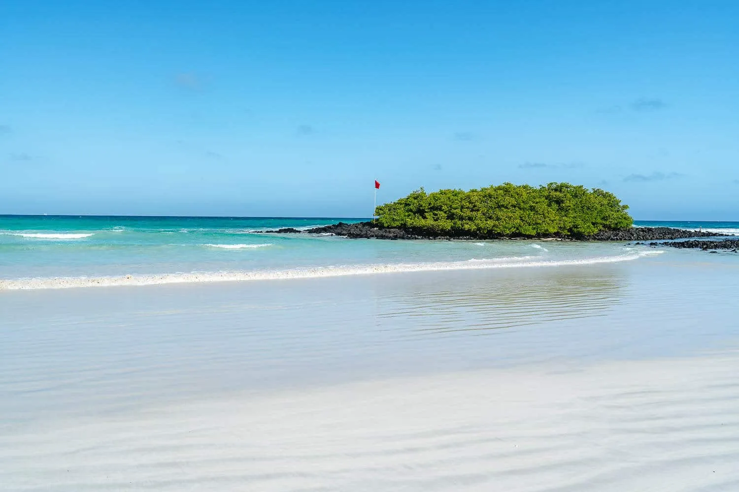 5 Best Beaches in Santa Cruz, Galapagos: Where to Go