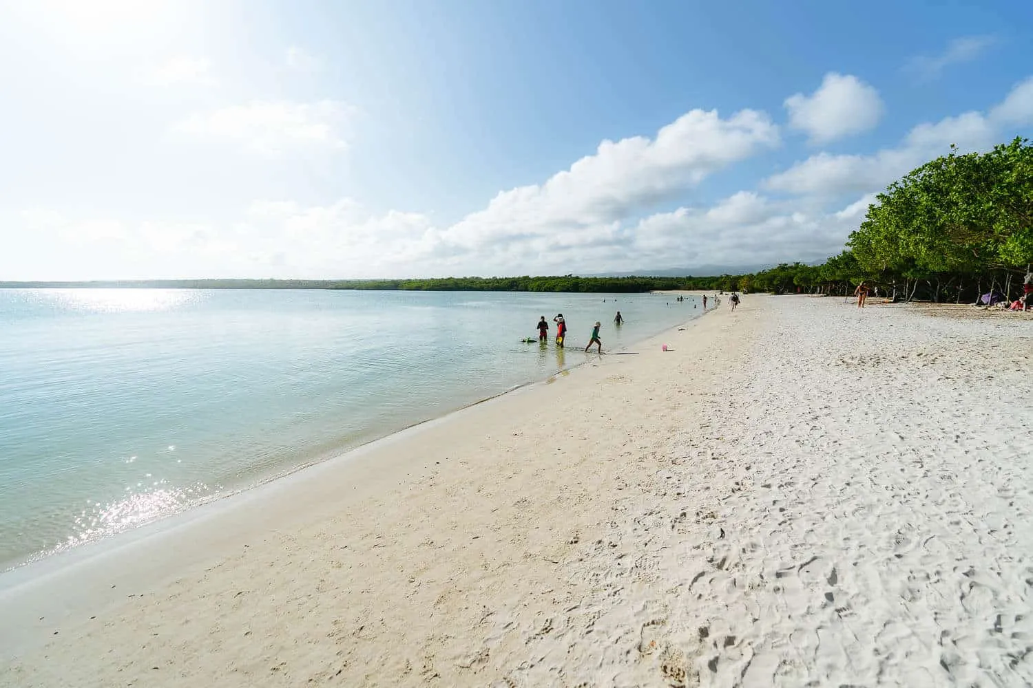 Playa Mansa beach at Tortuga Bay in Santa Cruz