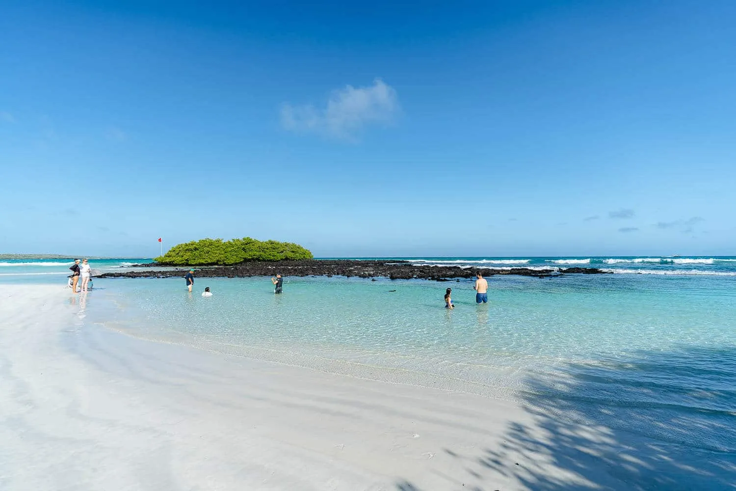 35 Awesome Things To Do in Santa Cruz, Galapagos: All Activities