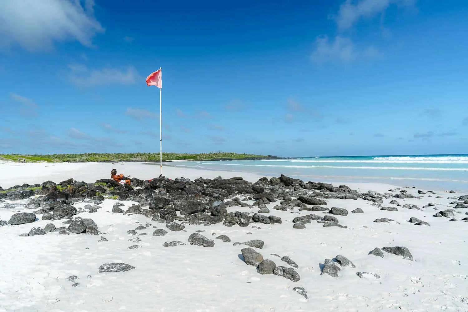 Tortuga Bay's Lifeguard relaxing