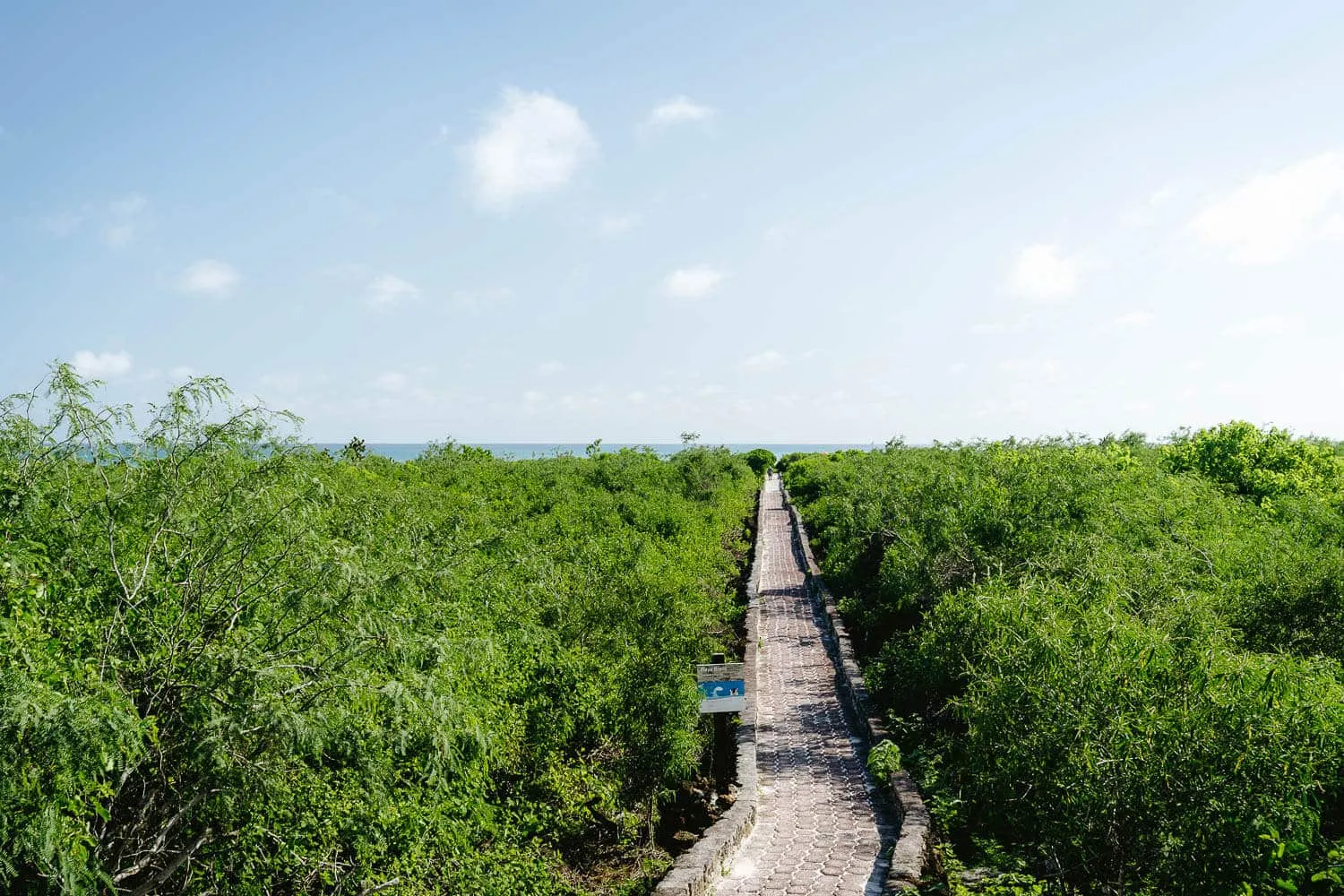 The last section of the path to Tortuga Bay