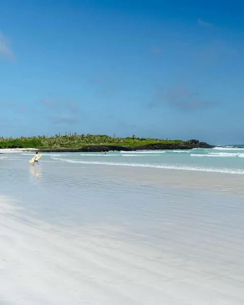 Tortuga Bay Beach in Santa Cruz, Galapagos: Full Breakdown