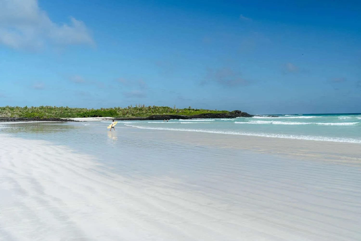 Tortuga Bay Beach in Santa Cruz, Galapagos: Full Breakdown