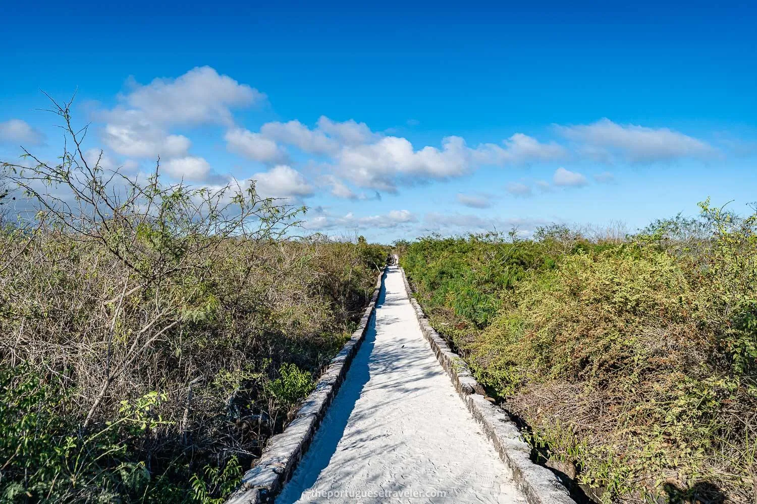 The final stretch of the way to Tortuga Bay beach