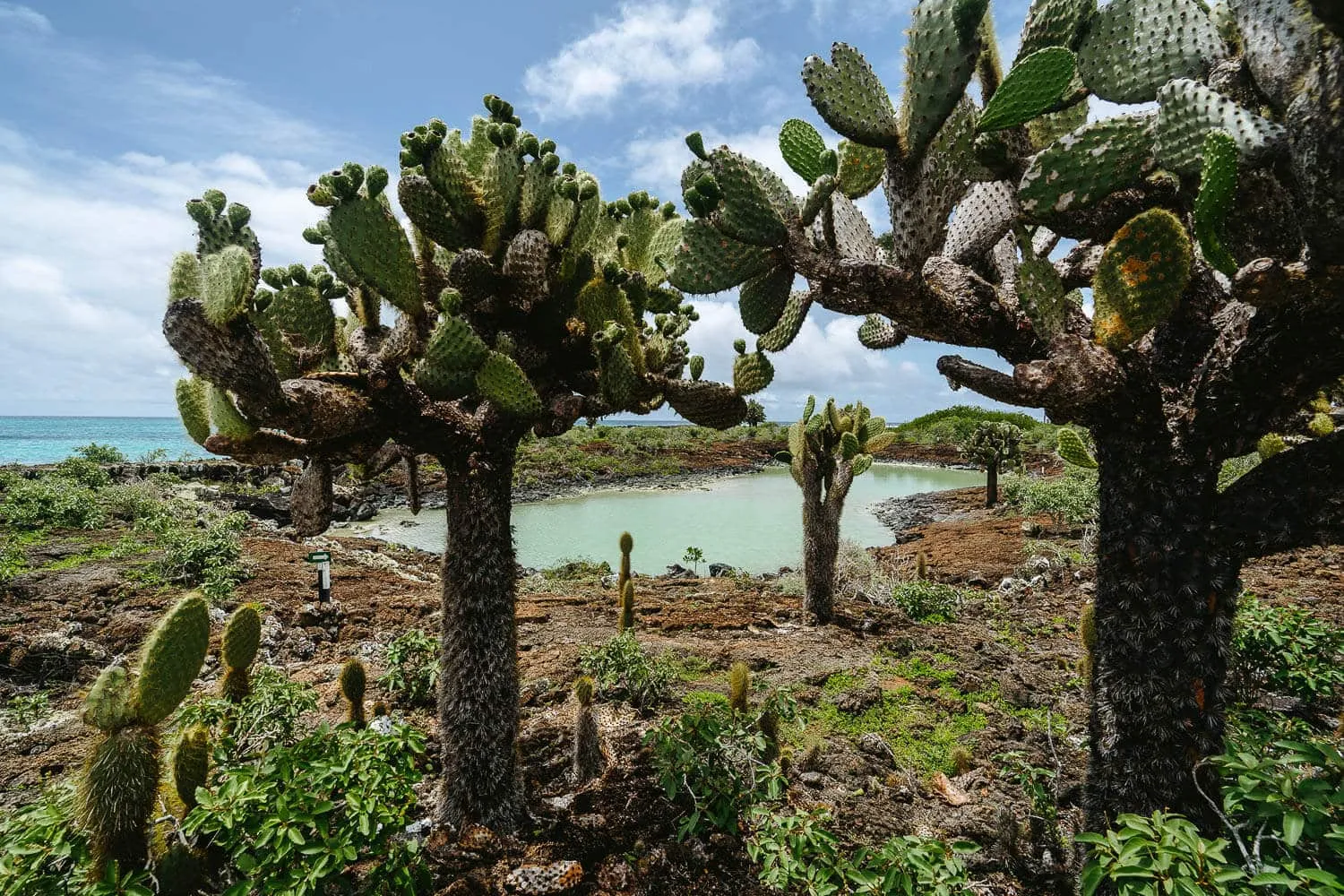 7 Awesome Tours in San Cristobal, Galapagos (Land-Based)