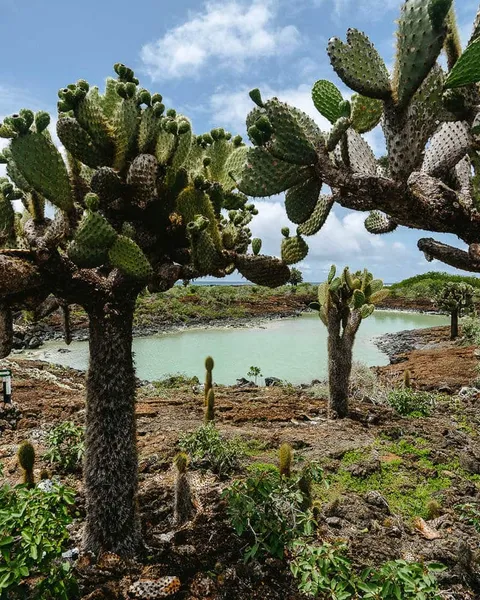 7 Awesome Tours in San Cristobal, Galapagos (Land-Based)
