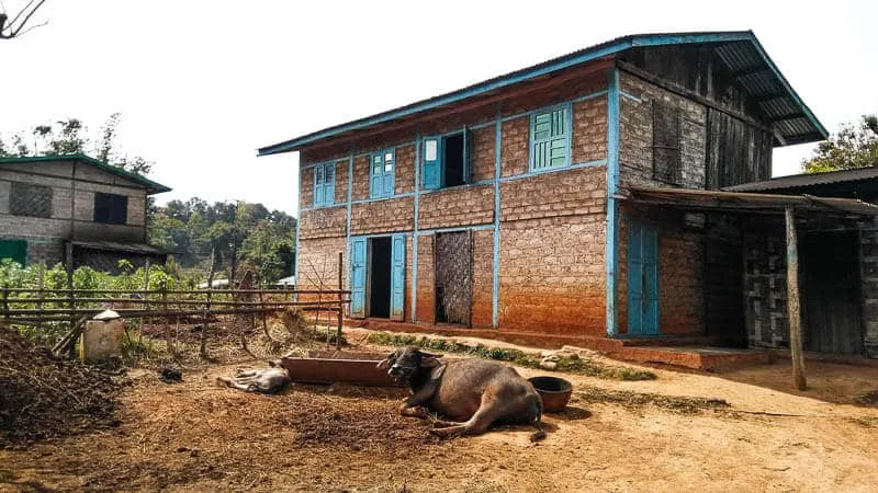 Traditional Pa'o Village with Buffalo on the Kalaw Hike, Myanmar