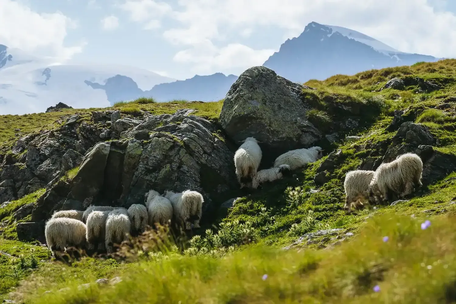 Edelweissweg Trail in Zermatt, Switzerland (All You Need to Know)