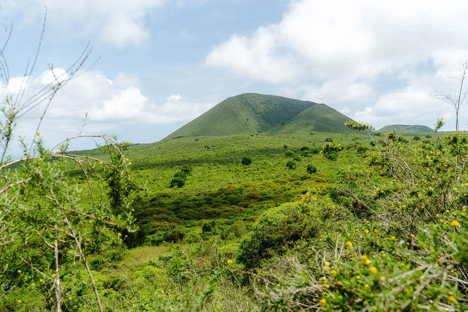 Floreana Island Tour: Full-Day Tour (From Santa Cruz Island)