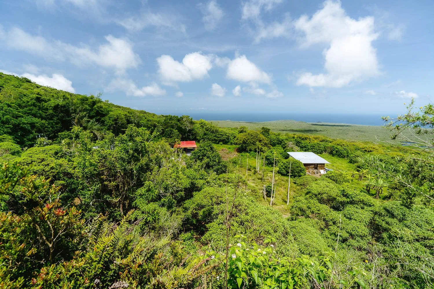 The view at the viewpoint