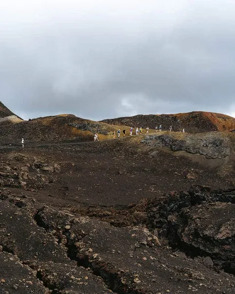 5 Amazing Tours in Isabela, Galapagos: All The Best Tours (2026)