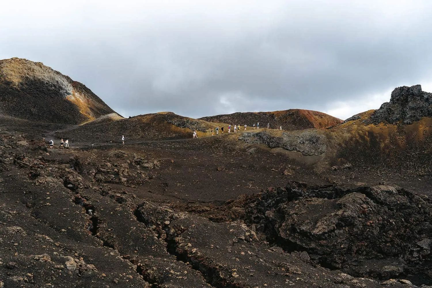5 Amazing Tours in Isabela, Galapagos: All The Best Tours (2026)
