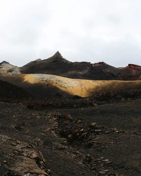 Sierra Negra Volcano Tour in Isabela, Galapagos: Full-Day Tour