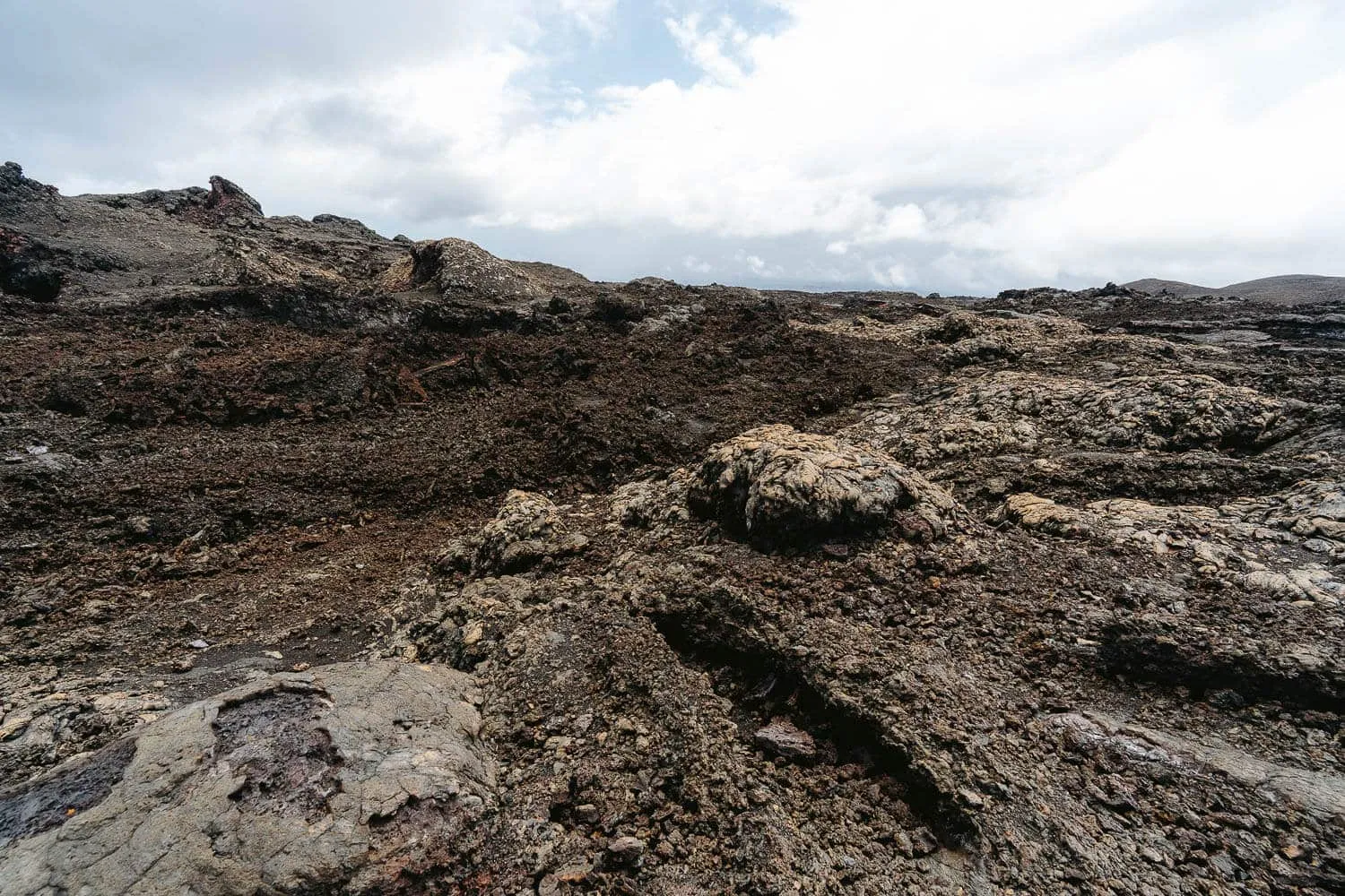 Lava landscape in the Galápagos