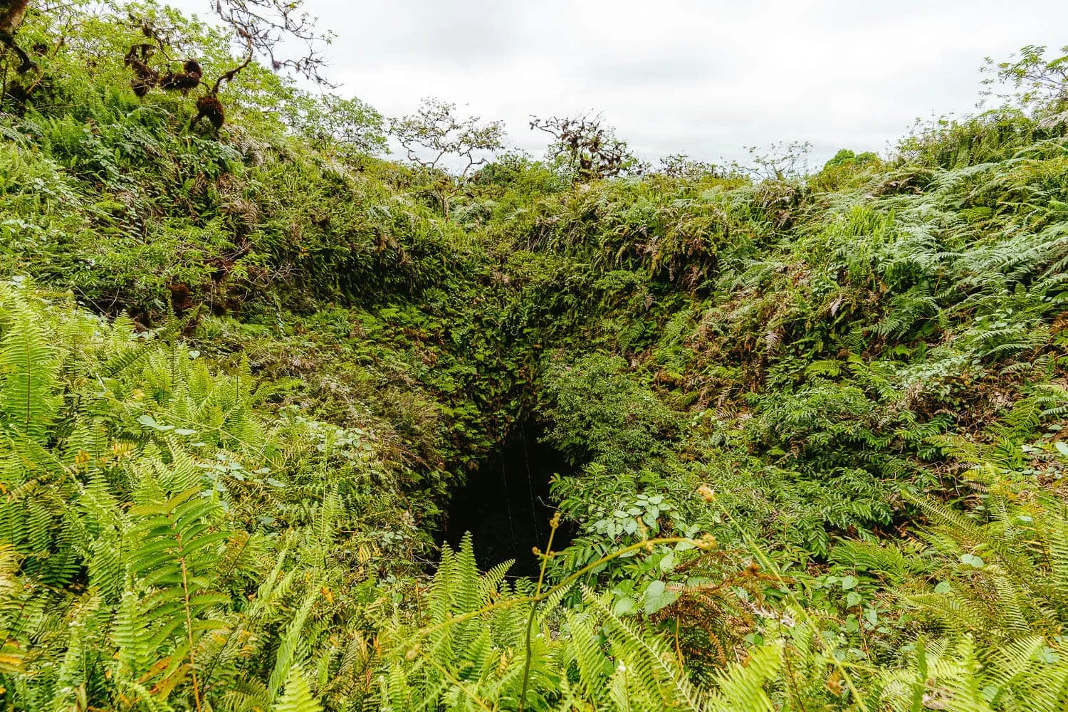 The volcano's entrance where you descend into its interior