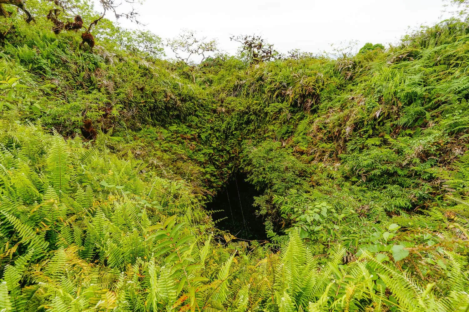 The volcano's entrance where you descend into its interior