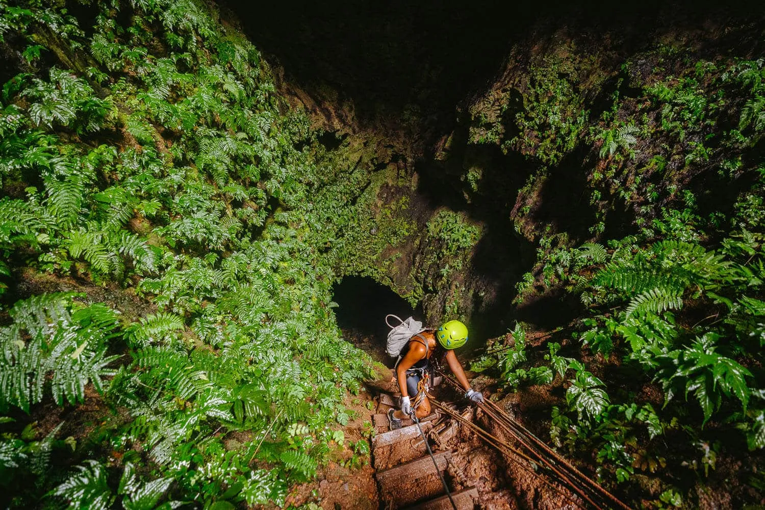 Trillizos Volcano Tour in Isabela, Galapagos: Half-Day Tour