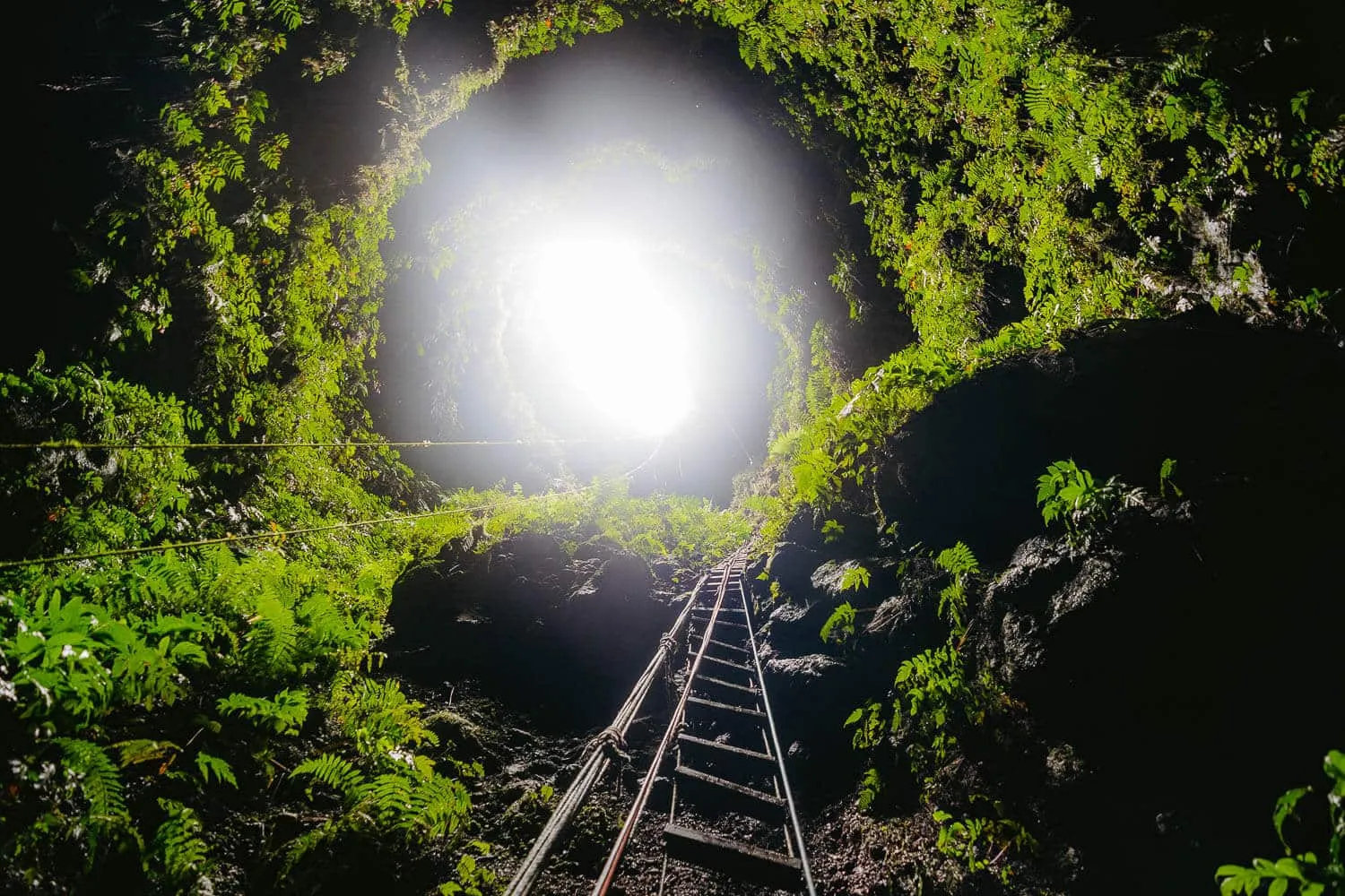 Looking up at the entrance. What a view.