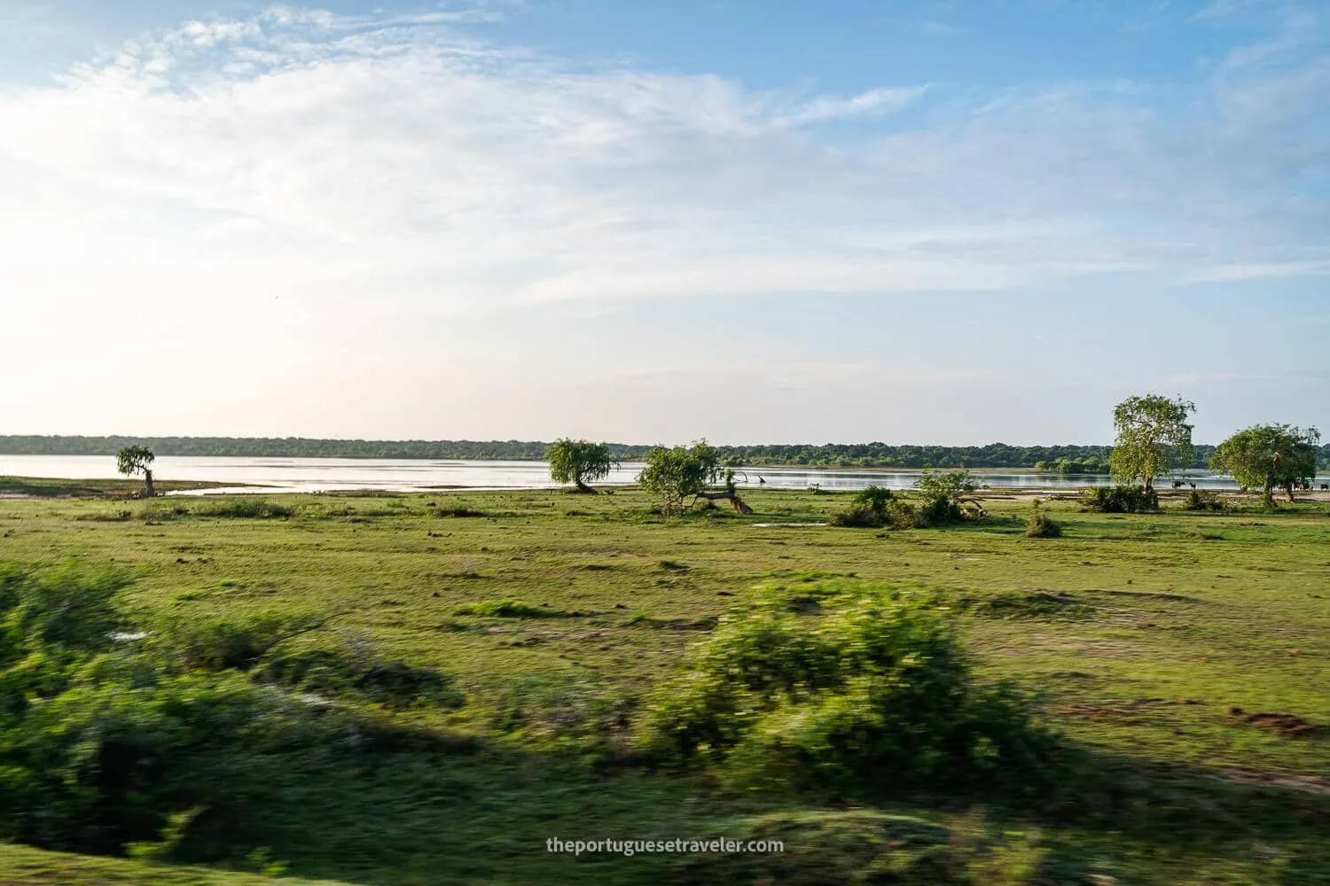 The wetlands and grasslands of Yala