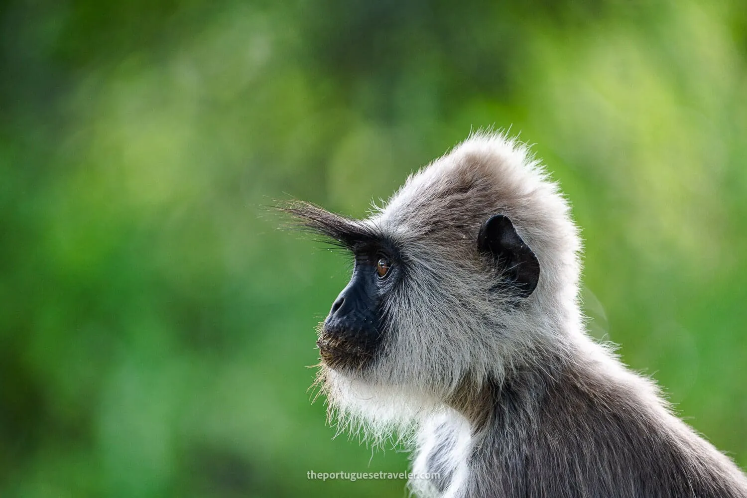 Sri Lanka