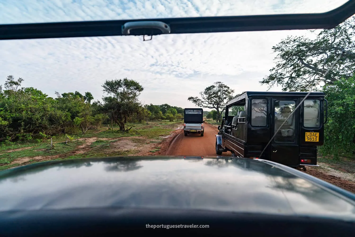 The Yala National Park Safari - Block 1
