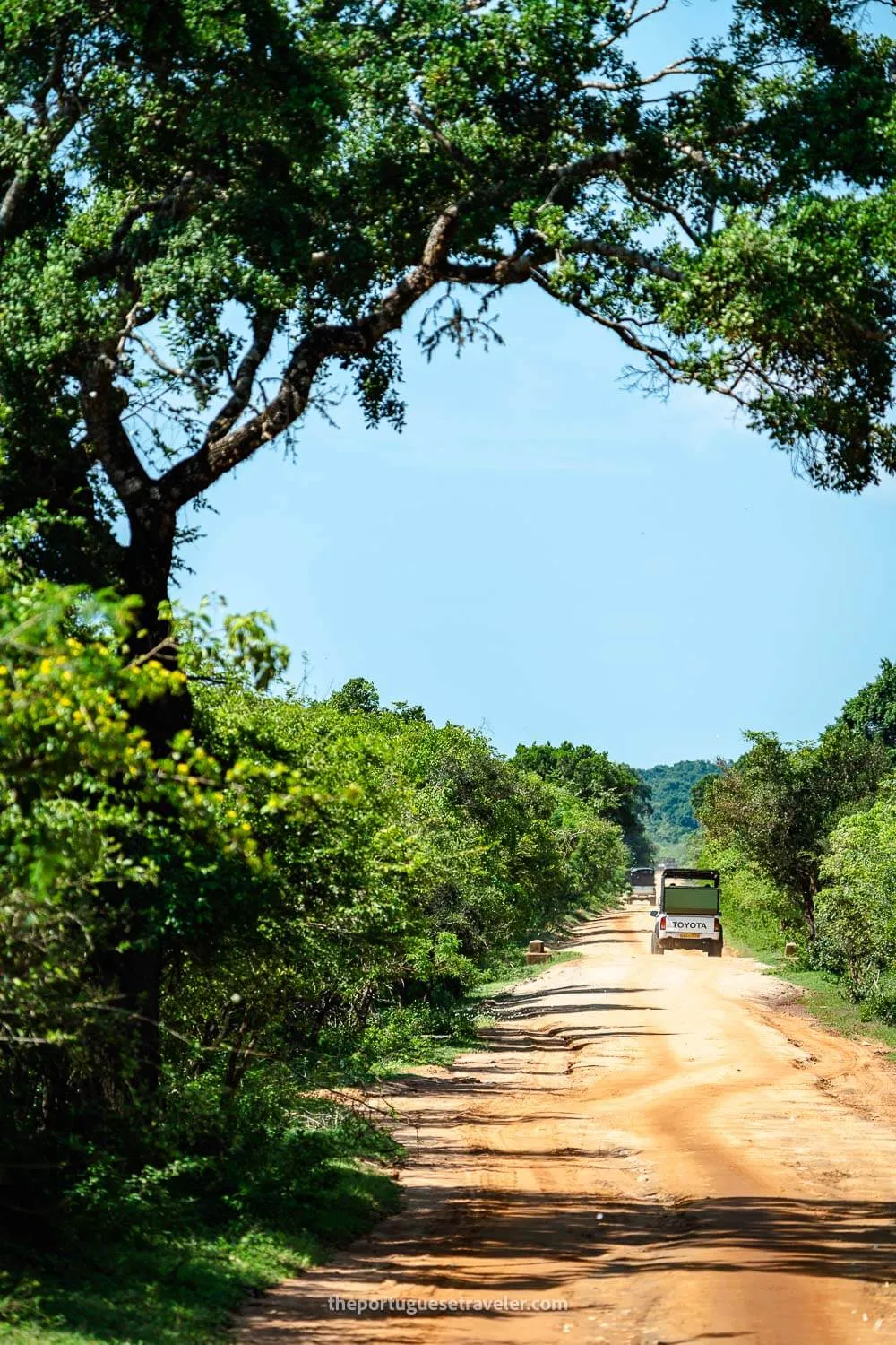 The safari in Yala National Park